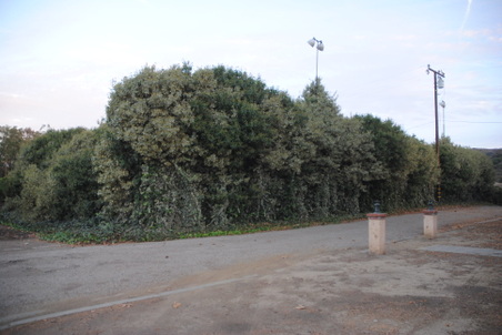 Enlarge photo 19