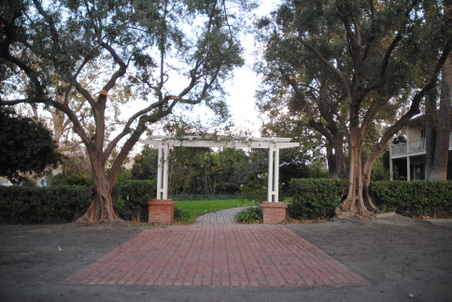Enlarge photo 25