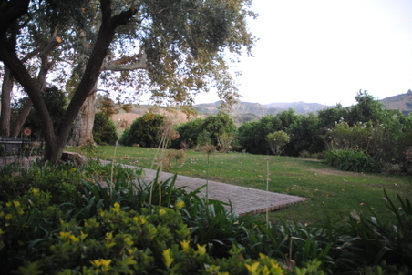Enlarge photo 31