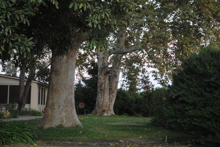 Enlarge photo 32