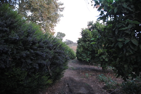 Enlarge photo 33