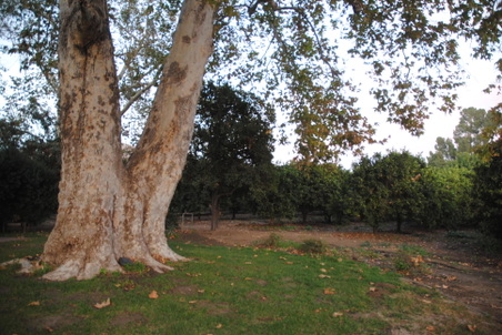 Enlarge photo 34