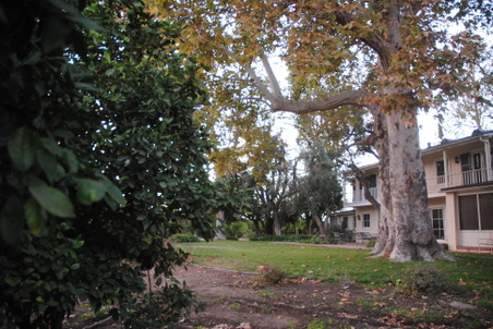 Enlarge photo 35