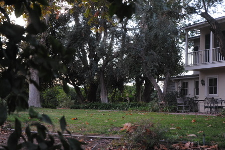 Enlarge photo 36
