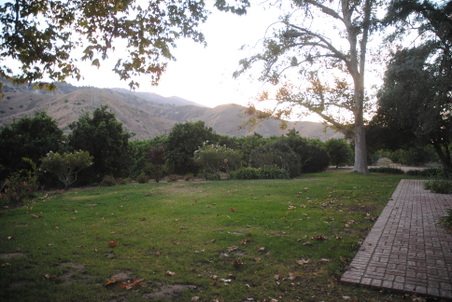 Enlarge photo 37