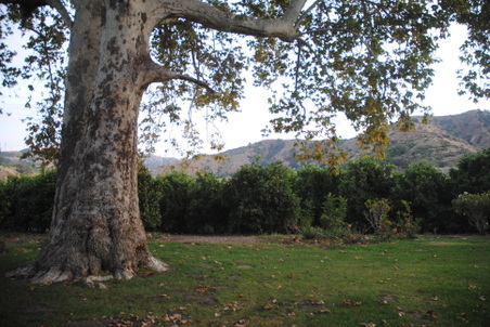 Enlarge photo 38