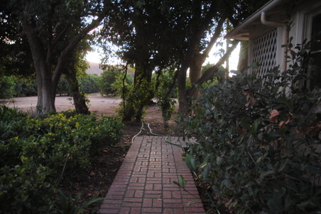 Enlarge photo 40