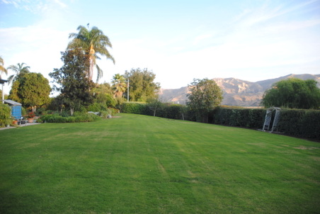 Enlarge photo 46