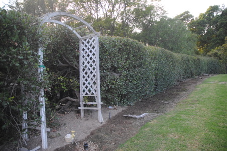 Enlarge photo 7