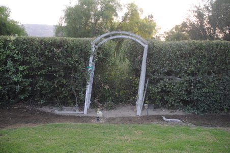 Enlarge photo 8
