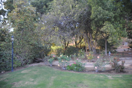 Enlarge photo 10
