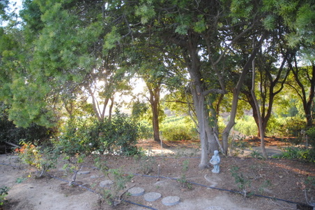 Enlarge photo 12