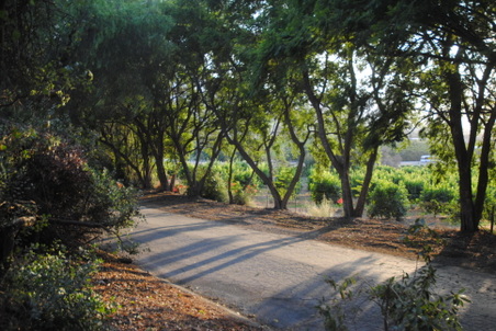 Enlarge photo 14