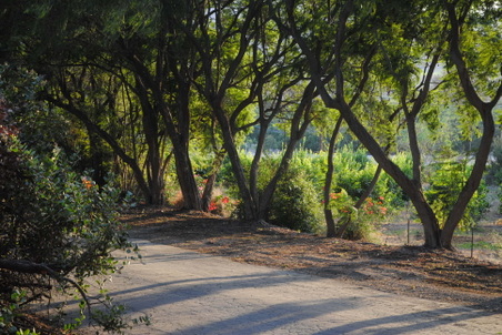 Enlarge photo 15