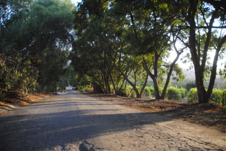 Enlarge photo 16