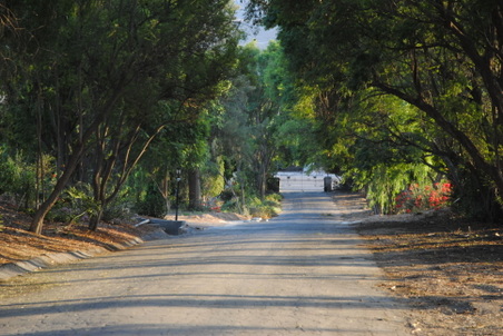 Enlarge photo 17