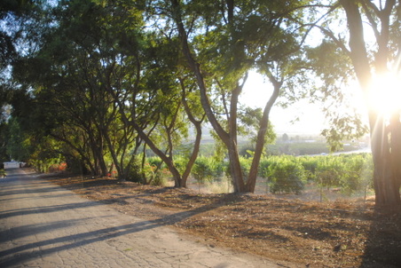 Enlarge photo 18