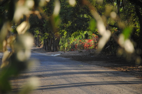 Enlarge photo 19