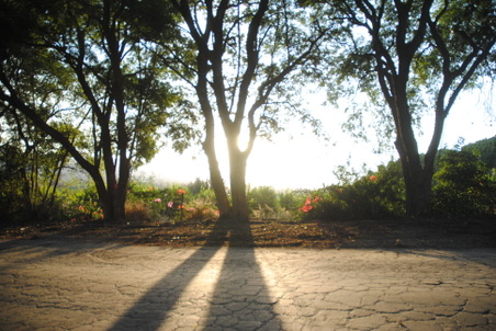 Enlarge photo 20