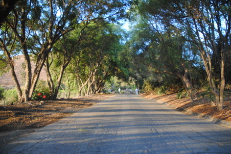 Enlarge photo 21
