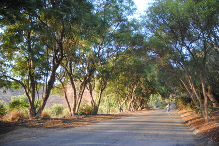 Enlarge photo 22