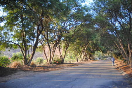 Enlarge photo 23