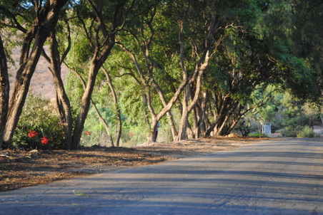Enlarge photo 24