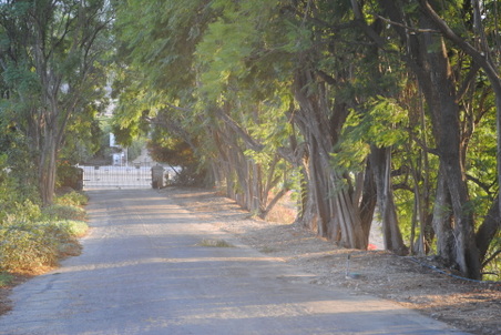 Enlarge photo 26