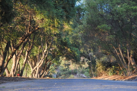 Enlarge photo 27