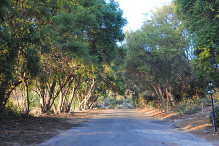 Enlarge photo 28