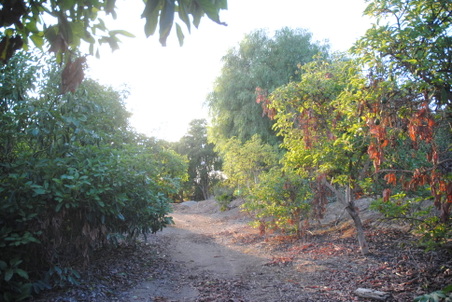 Enlarge photo 29