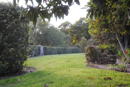 Enlarge photo 30