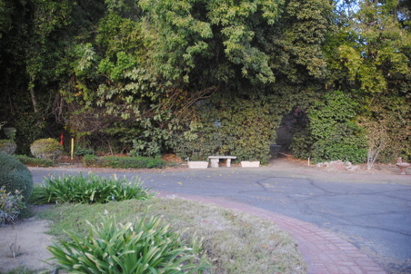 Enlarge photo 38