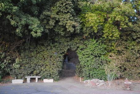 Enlarge photo 39
