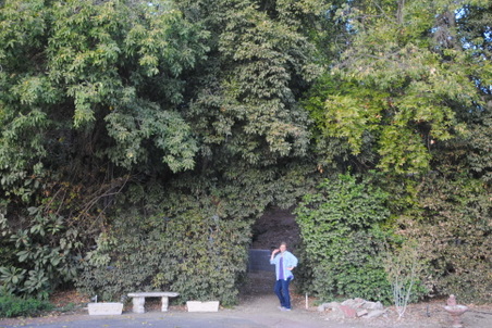 Enlarge photo 40