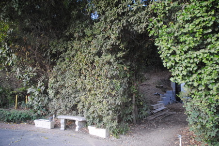 Enlarge photo 41