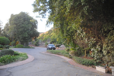 Enlarge photo 42