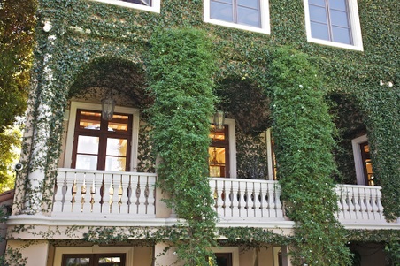 Enlarge photo 42