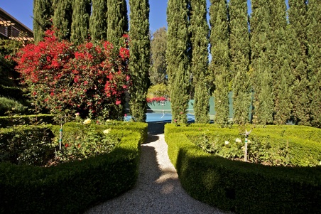 Enlarge photo 64