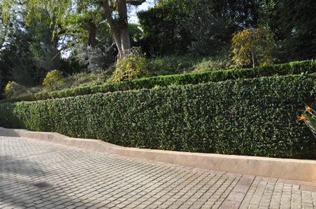 Enlarge photo 23
