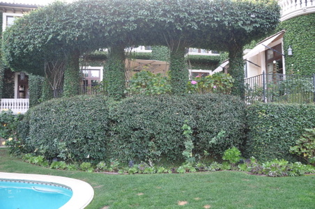 Enlarge photo 30