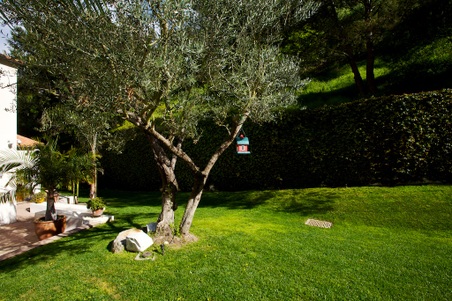 Enlarge photo 51