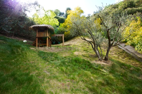 Enlarge photo 57