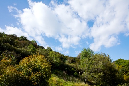 Enlarge photo 59
