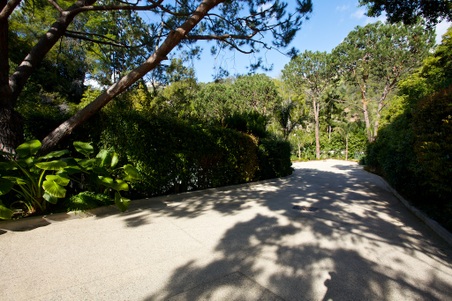 Enlarge photo 68