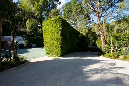 Enlarge photo 73