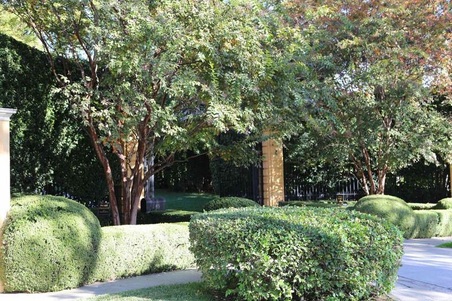 Enlarge photo 7