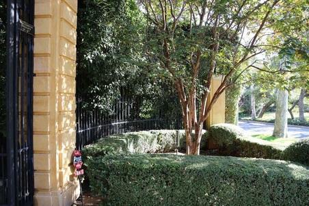 Enlarge photo 9