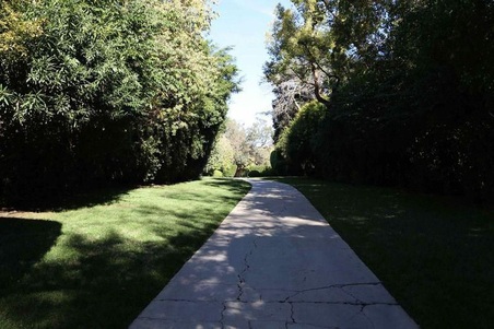 Enlarge photo 13