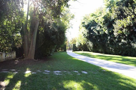 Enlarge photo 18